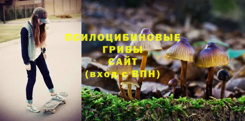 цены наркотик  blacksprut сайт  Галлюциногенные грибы Magic Shrooms  Правдинск 